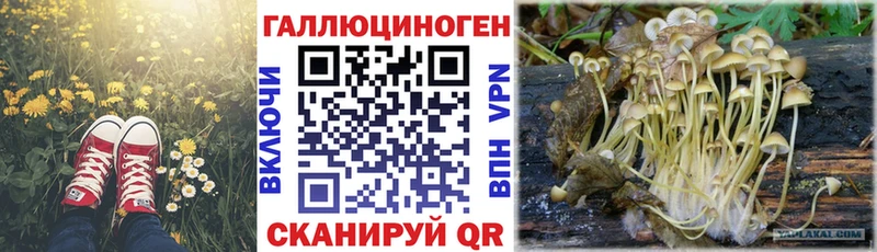Псилоцибиновые грибы ЛСД  Купить  Болохово 